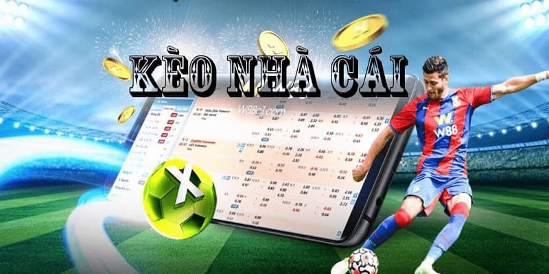Cách Soi Kèo Nhà Cái - Tìm Hiểu Sâu Sắc Và Hiệu Quả Để Đặt Cược