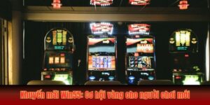 Khuyến Mãi Win55: Cơ Hội Vàng Cho Người Chơi Mới